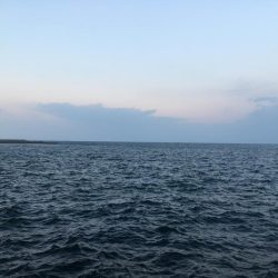 ジグサビキでアジ